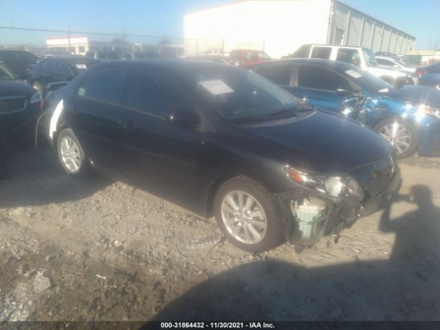 TOYOTA COROLLA 2010 2t1bu4ee7ac419561