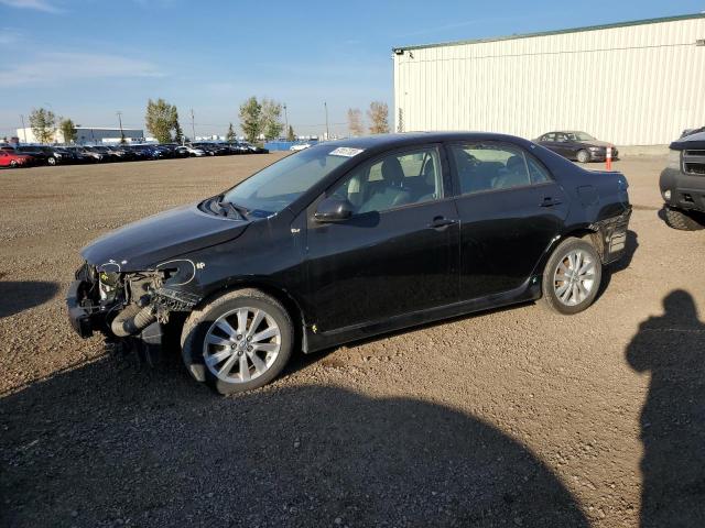 TOYOTA COROLLA 2010 2t1bu4ee7ac423318