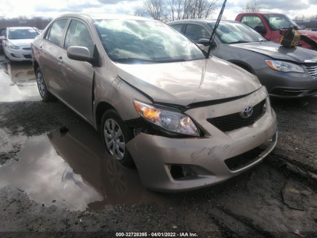 TOYOTA COROLLA 2010 2t1bu4ee7ac444105