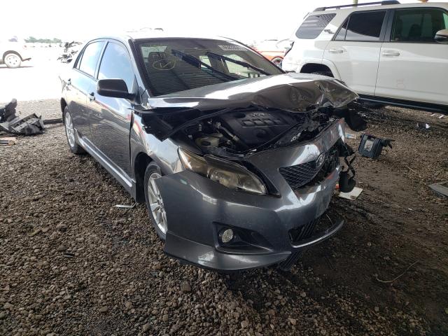 TOYOTA COROLLA 2010 2t1bu4ee7ac465259