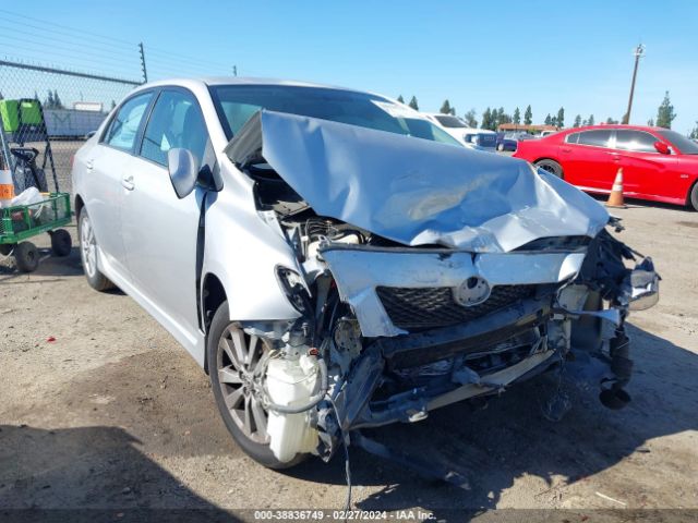 TOYOTA COROLLA 2010 2t1bu4ee7ac465293