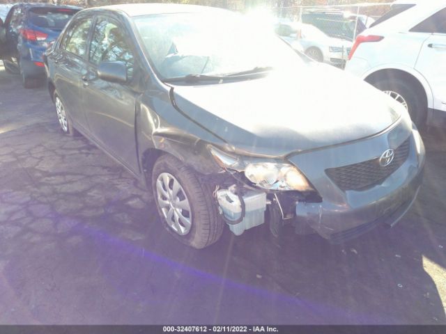 TOYOTA COROLLA 2010 2t1bu4ee7ac503542