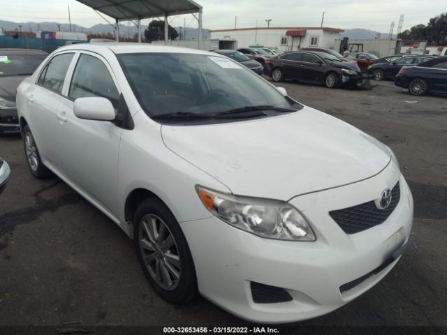 TOYOTA COROLLA 2010 2t1bu4ee7ac509146