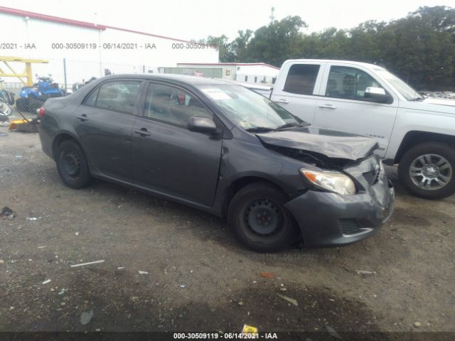 TOYOTA COROLLA 2010 2t1bu4ee7ac515951