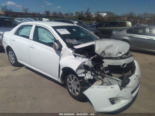 TOYOTA COROLLA 2010 2t1bu4ee7ac517960