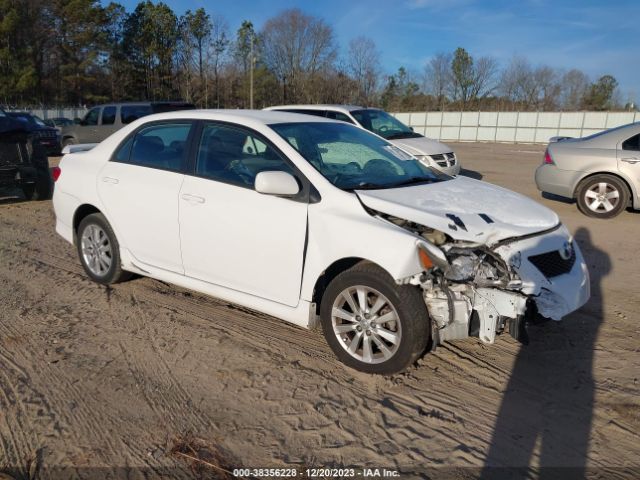 TOYOTA COROLLA 2010 2t1bu4ee7ac520311