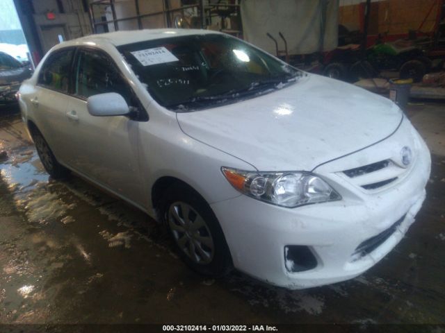 TOYOTA COROLLA 2011 2t1bu4ee7bc547459