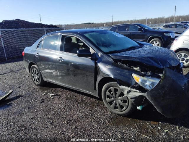 TOYOTA COROLLA 2010 2t1bu4ee8ac194440