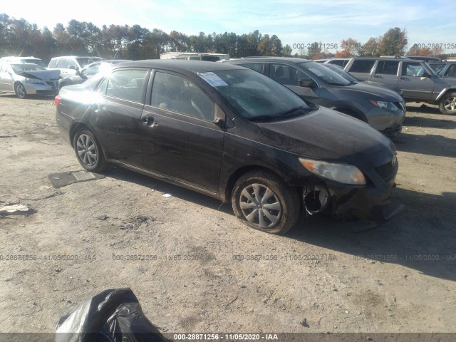 TOYOTA COROLLA 2010 2t1bu4ee8ac236041