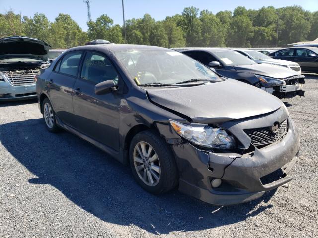 TOYOTA COROLLA BA 2010 2t1bu4ee8ac262591