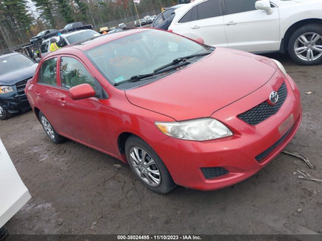 TOYOTA COROLLA 2010 2t1bu4ee8ac272019