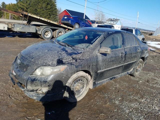 TOYOTA COROLLA 2010 2t1bu4ee8ac285966