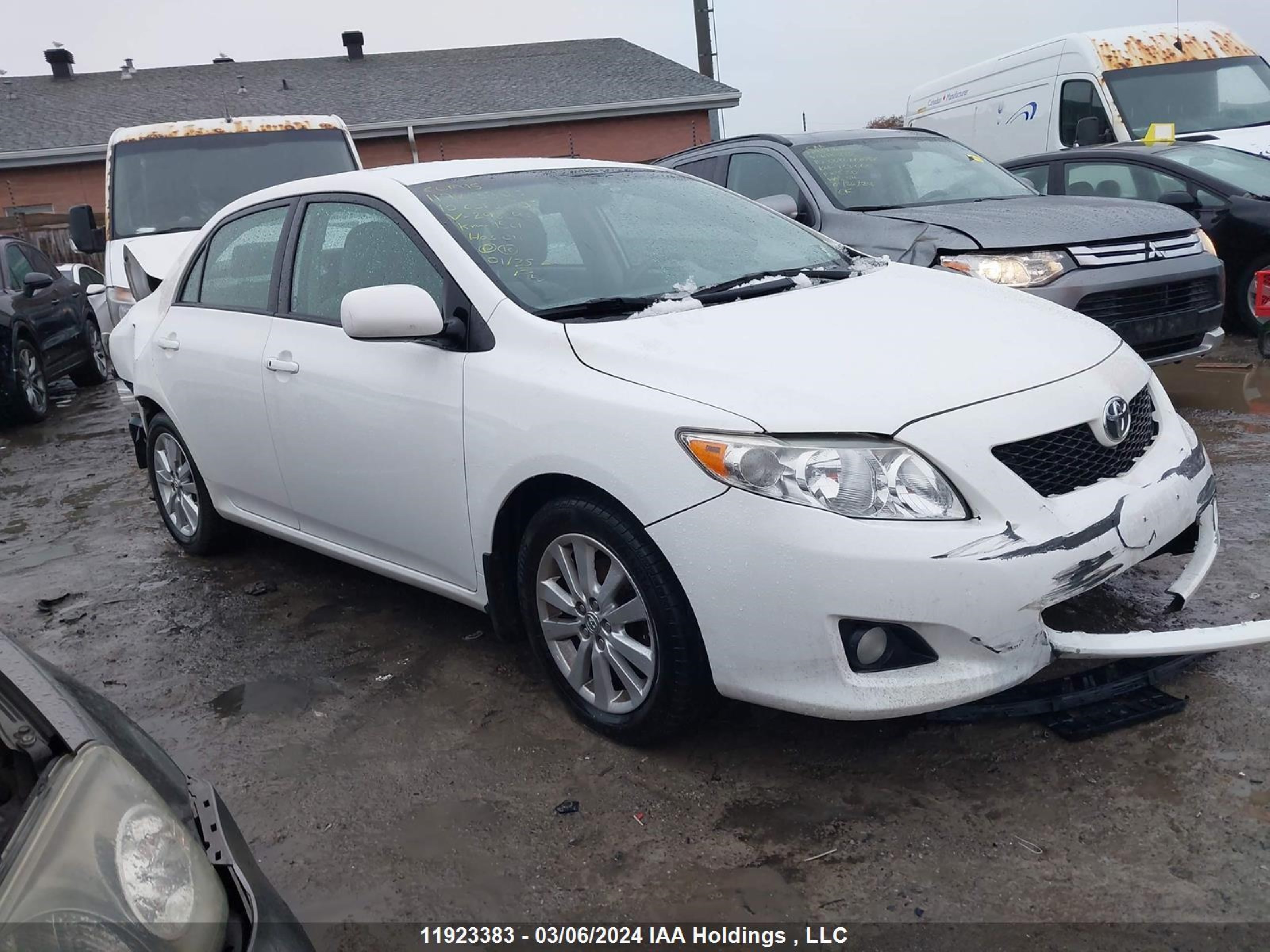 TOYOTA COROLLA 2010 2t1bu4ee8ac296594