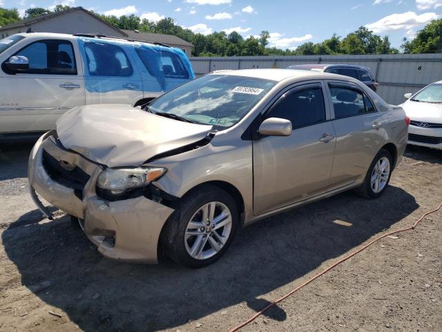 TOYOTA COROLLA 2010 2t1bu4ee8ac300532