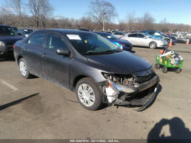 TOYOTA COROLLA 2010 2t1bu4ee8ac302331