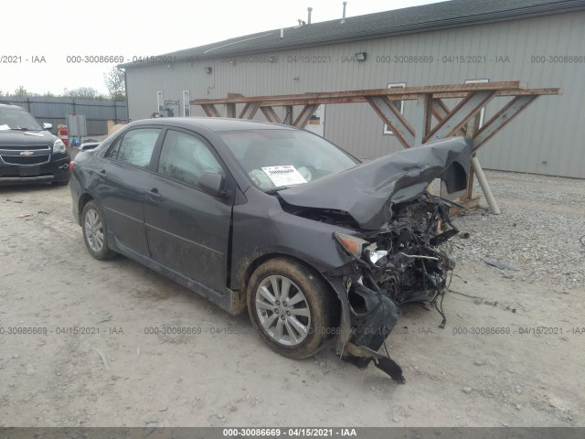 TOYOTA COROLLA 2010 2t1bu4ee8ac303155