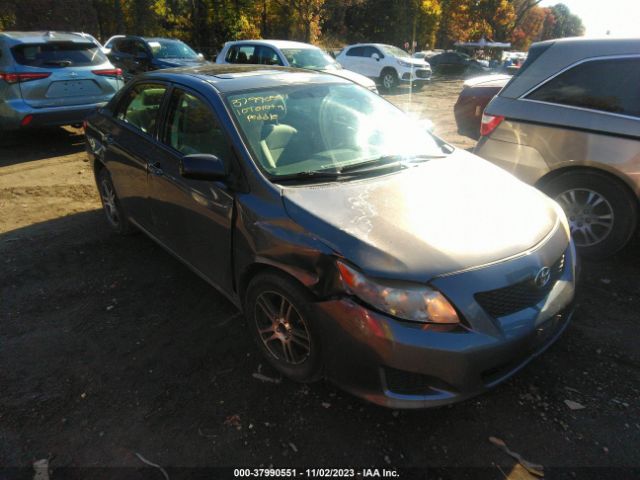 TOYOTA COROLLA 2010 2t1bu4ee8ac305584