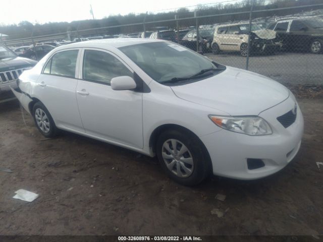 TOYOTA COROLLA 2010 2t1bu4ee8ac314544