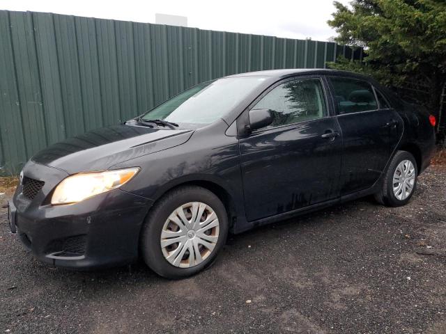 TOYOTA COROLLA 2010 2t1bu4ee8ac315578