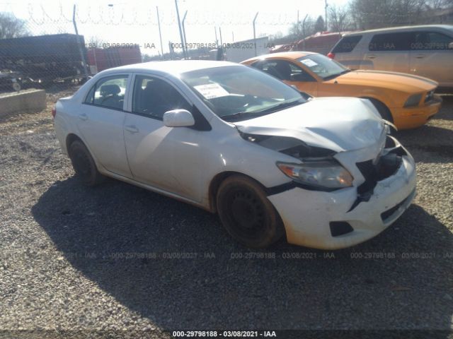 TOYOTA COROLLA 2010 2t1bu4ee8ac321056