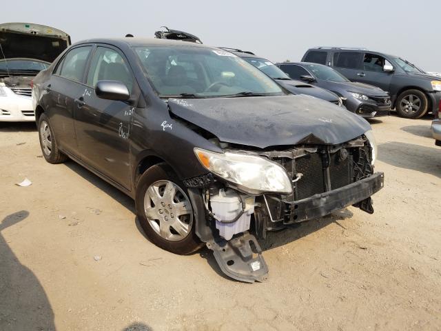 TOYOTA COROLLA BA 2010 2t1bu4ee8ac334566