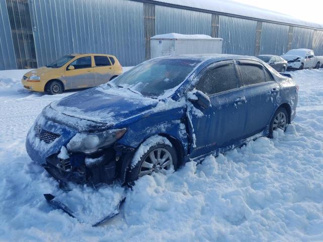 TOYOTA COROLLA BA 2010 2t1bu4ee8ac347950