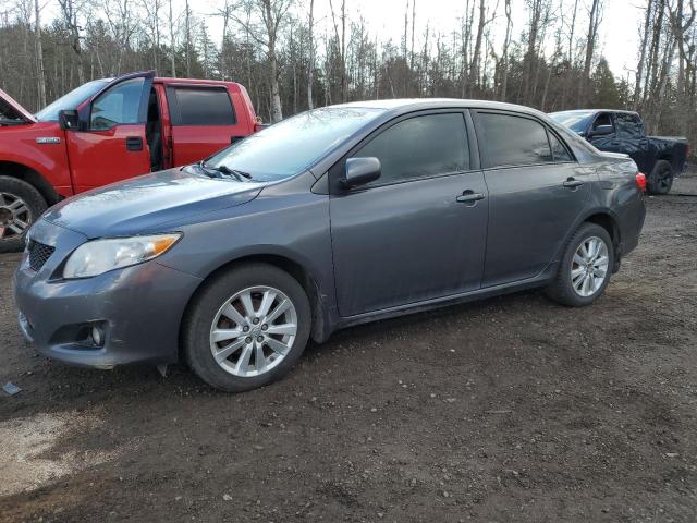 TOYOTA COROLLA 2010 2t1bu4ee8ac388644