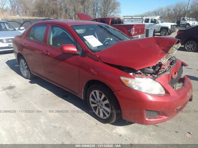 TOYOTA COROLLA 2010 2t1bu4ee8ac401313