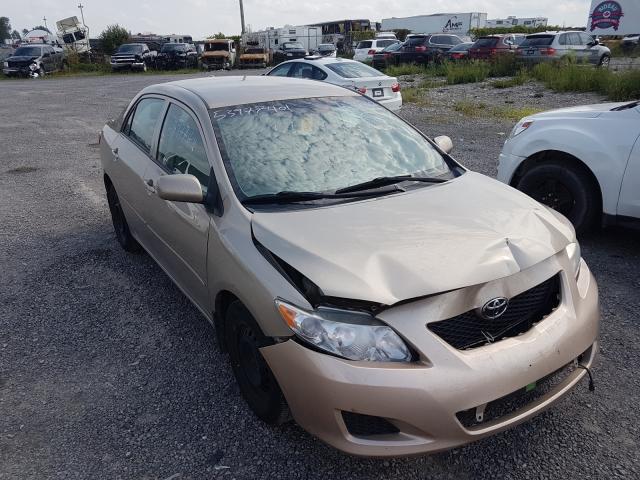 TOYOTA COROLLA BA 2010 2t1bu4ee8ac429161