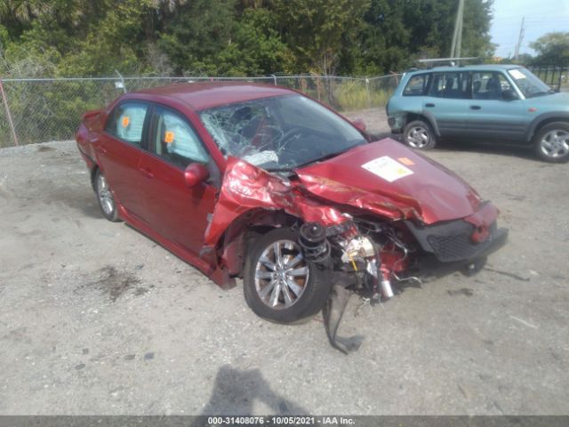 TOYOTA COROLLA 2010 2t1bu4ee8ac446350