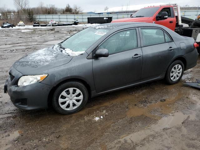 TOYOTA COROLLA BA 2010 2t1bu4ee8ac483169