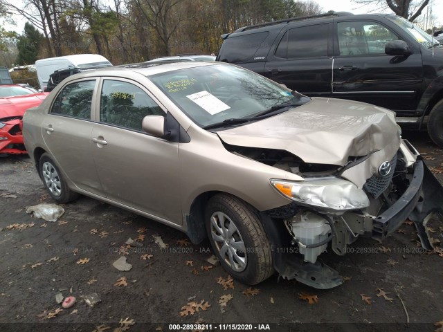 TOYOTA COROLLA 2010 2t1bu4ee8ac492681