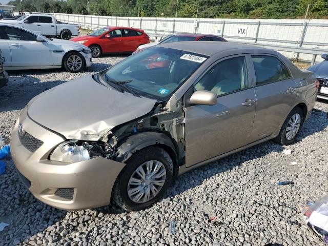 TOYOTA COROLLA BA 2010 2t1bu4ee8ac498089