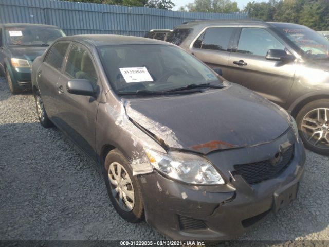 TOYOTA COROLLA 2010 2t1bu4ee8ac502335