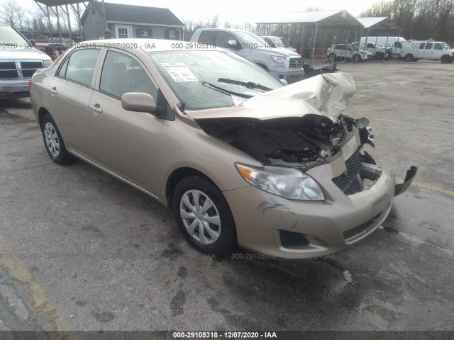 TOYOTA COROLLA 2010 2t1bu4ee8ac505171