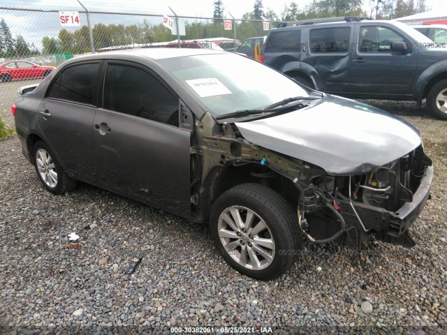 TOYOTA COROLLA 2010 2t1bu4ee8ac505509