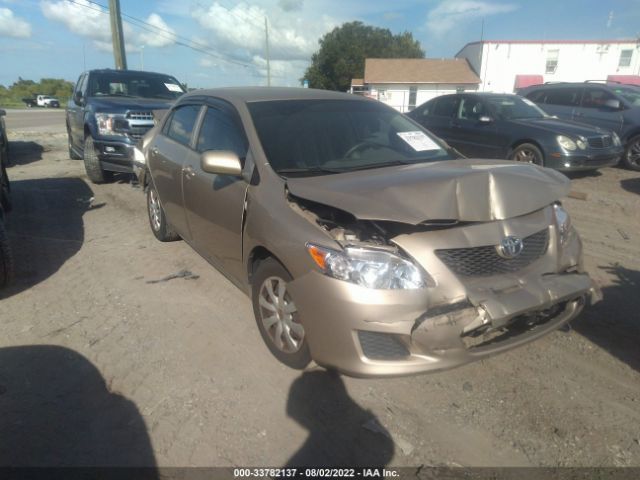 TOYOTA COROLLA 2010 2t1bu4ee8ac509110