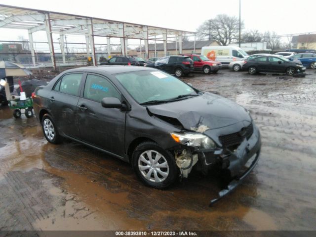 TOYOTA COROLLA 2010 2t1bu4ee8ac516624