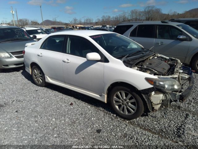 TOYOTA COROLLA 2010 2t1bu4ee8ac524075