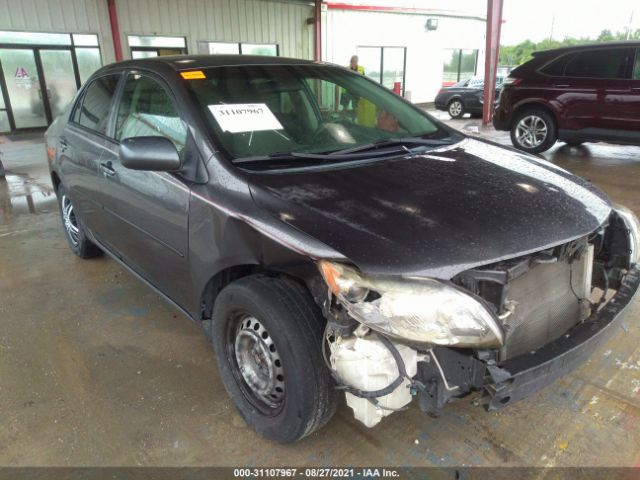 TOYOTA COROLLA 2010 2t1bu4ee8ac527493