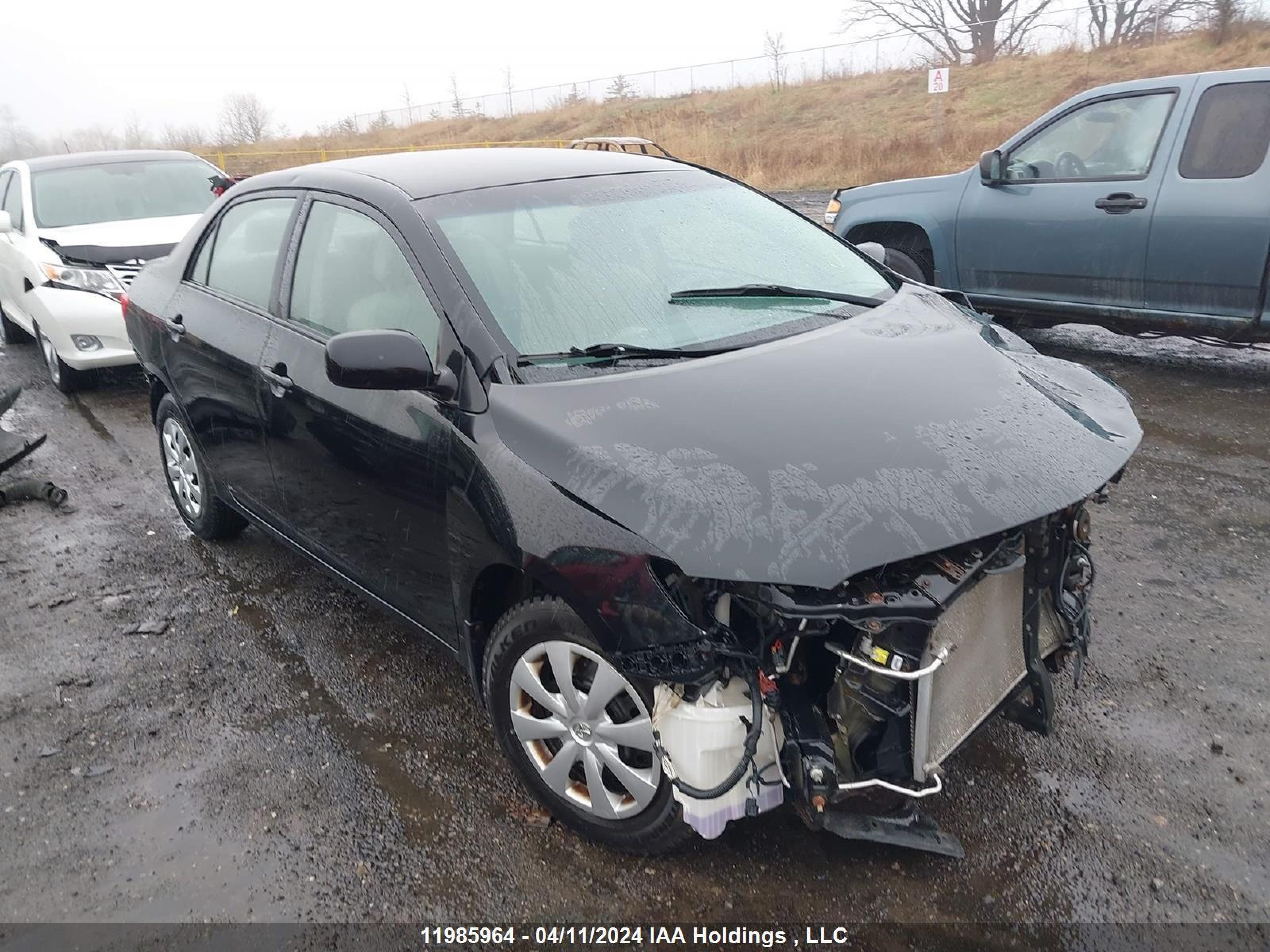 TOYOTA COROLLA 2010 2t1bu4ee9ac208619