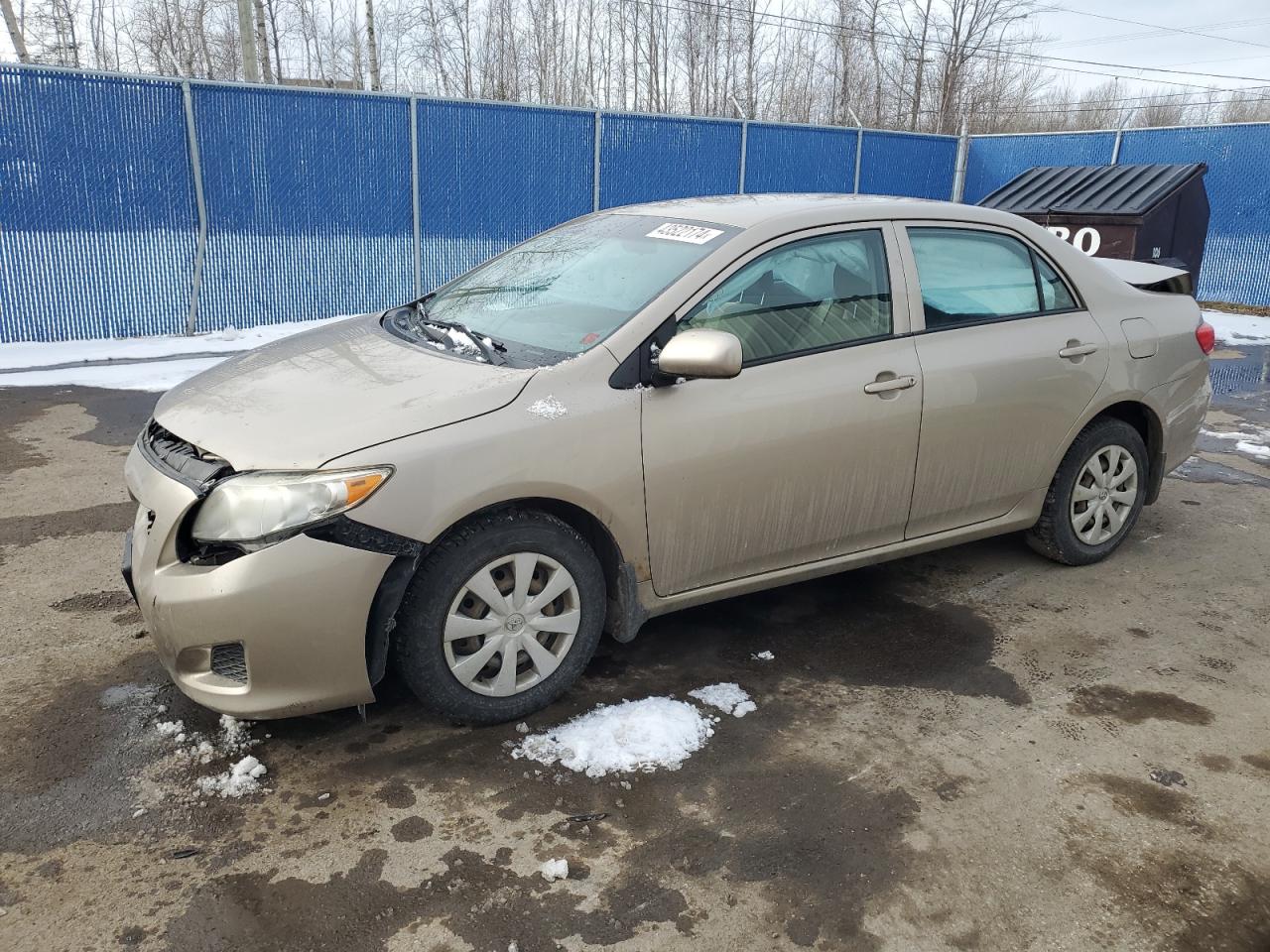 TOYOTA COROLLA 2010 2t1bu4ee9ac215893