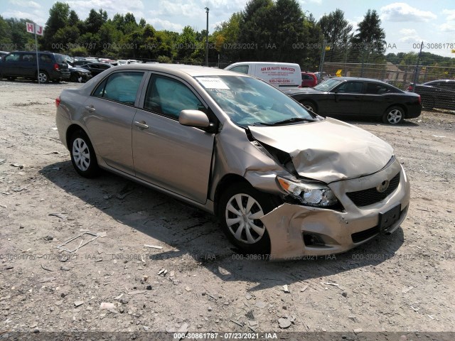 TOYOTA COROLLA 2010 2t1bu4ee9ac220365