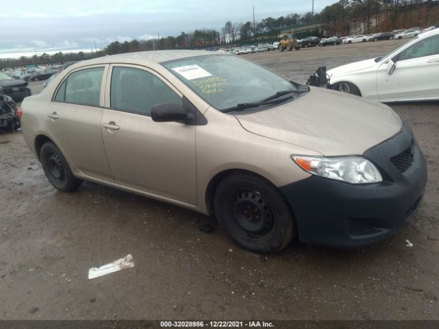 TOYOTA COROLLA 2010 2t1bu4ee9ac263720