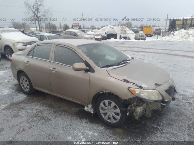 TOYOTA COROLLA 2010 2t1bu4ee9ac318330