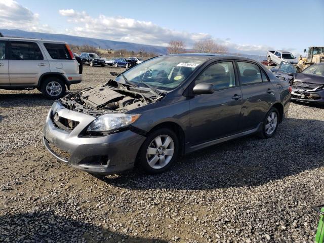 TOYOTA COROLLA BA 2010 2t1bu4ee9ac322622