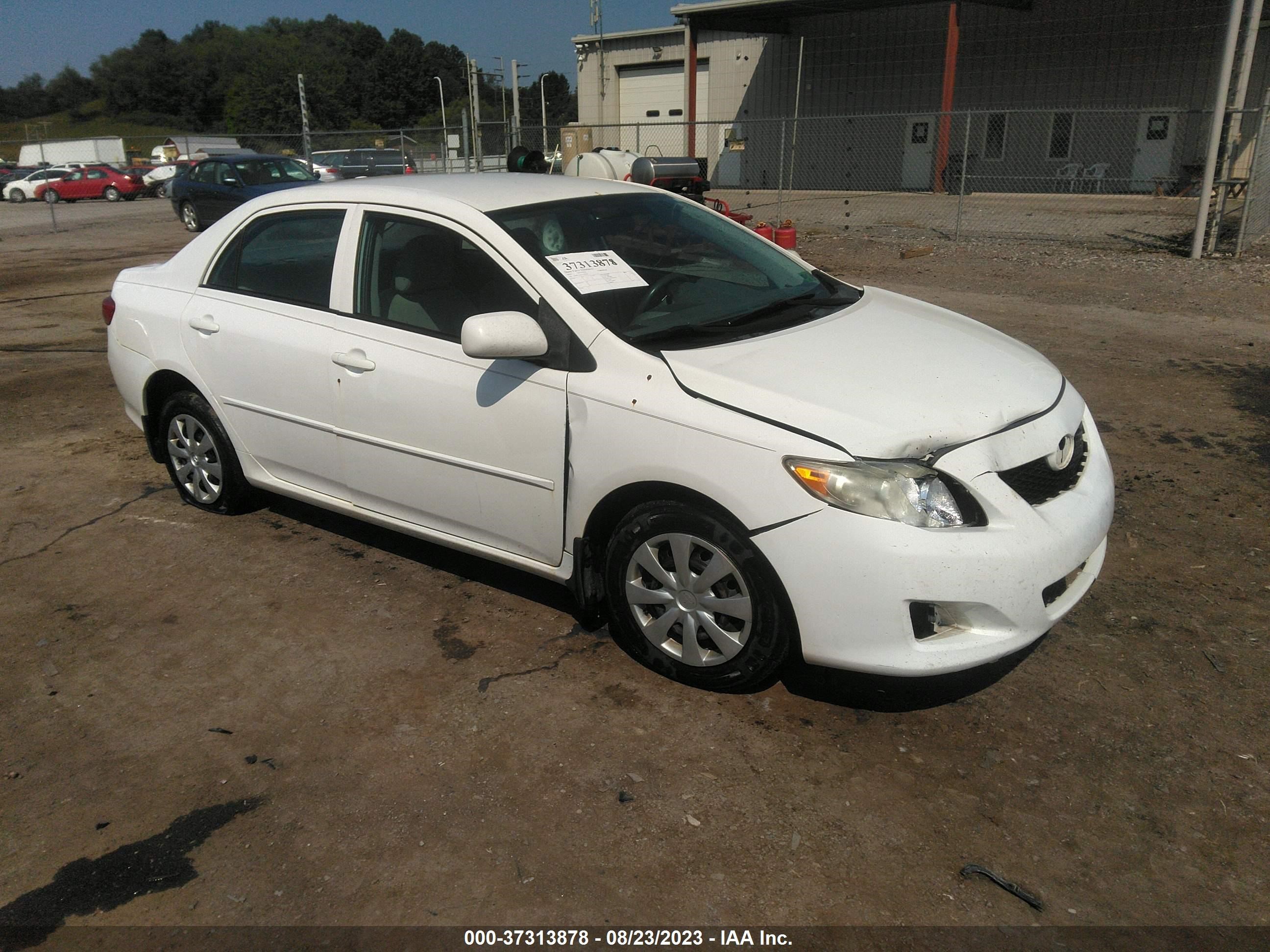 TOYOTA COROLLA 2010 2t1bu4ee9ac329103