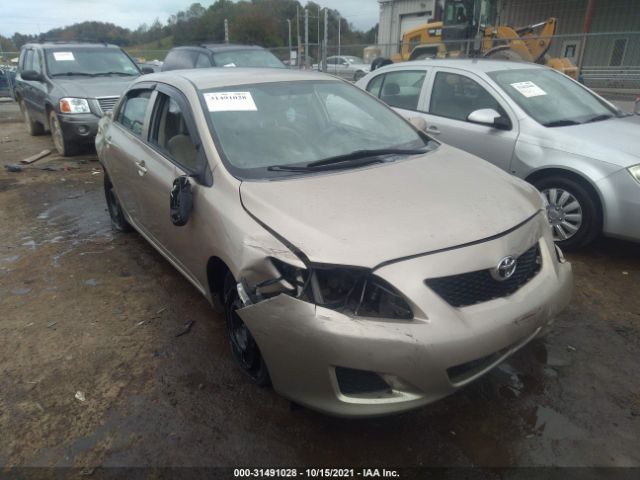 TOYOTA COROLLA 2010 2t1bu4ee9ac355491