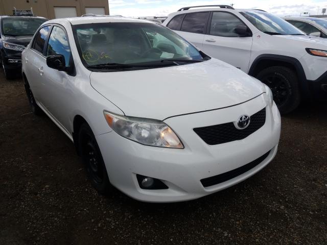 TOYOTA COROLLA BA 2010 2t1bu4ee9ac367222