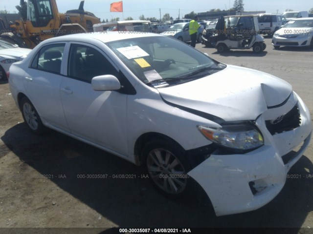 TOYOTA COROLLA 2010 2t1bu4ee9ac369553